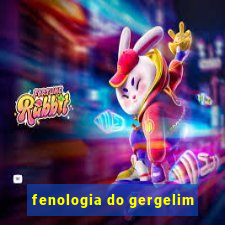 fenologia do gergelim