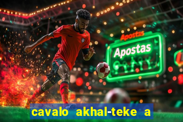 cavalo akhal-teke a venda no brasil cavalo akhal teke no