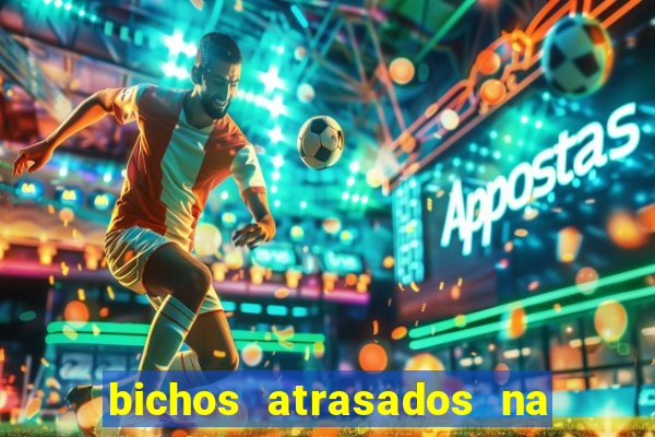 bichos atrasados na loteria federal
