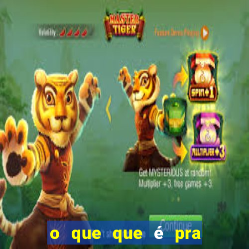 o que que é pra falar portal zacarias