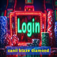 canil blaze diamond