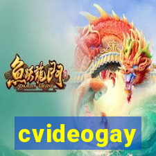 cvideogay