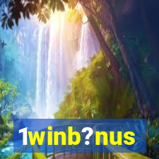 1winb?nus