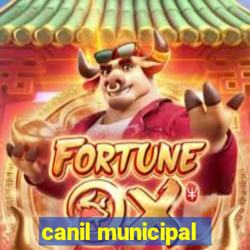 canil municipal