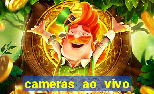 cameras ao vivo beto carrero