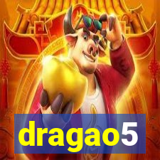 dragao5