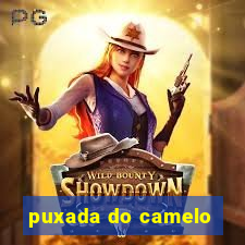puxada do camelo