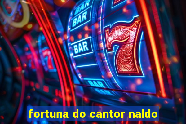 fortuna do cantor naldo