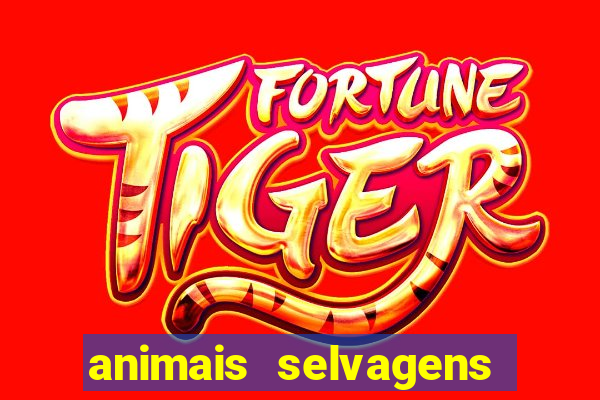 animais selvagens fotos e nomes