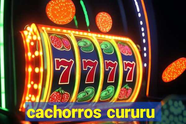 cachorros cururu