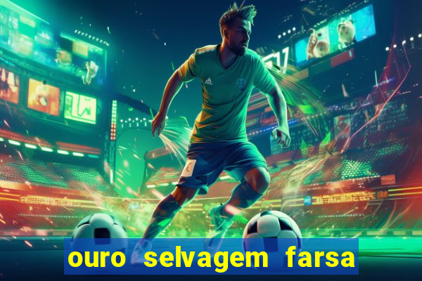 ouro selvagem farsa ouro selvagem o que aconteceu