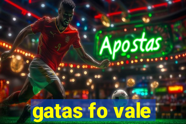 gatas fo vale