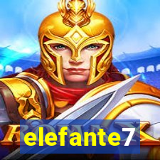 elefante7