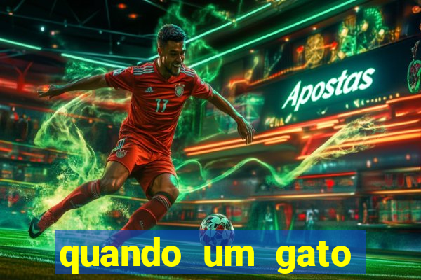 quando um gato aparece do nada significado espiritual