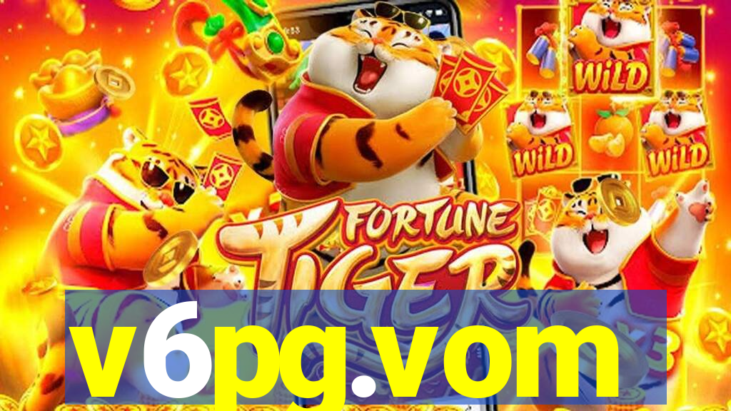 v6pg.vom