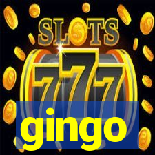 gingo
