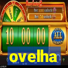 ovelha