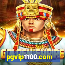 pgvip1100.com