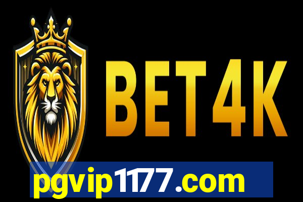 pgvip1177.com