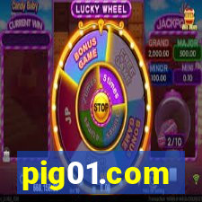 pig01.com