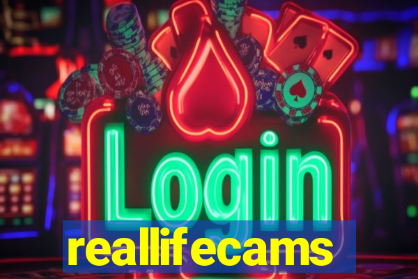 reallifecams