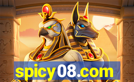 spicy08.com