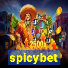 spicybet-1.com