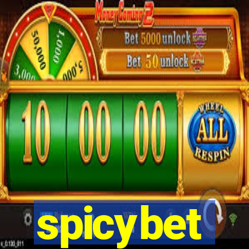 spicybet-2.com
