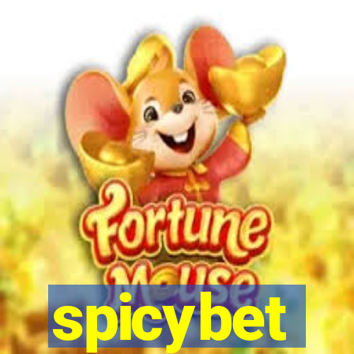 spicybet-3.com