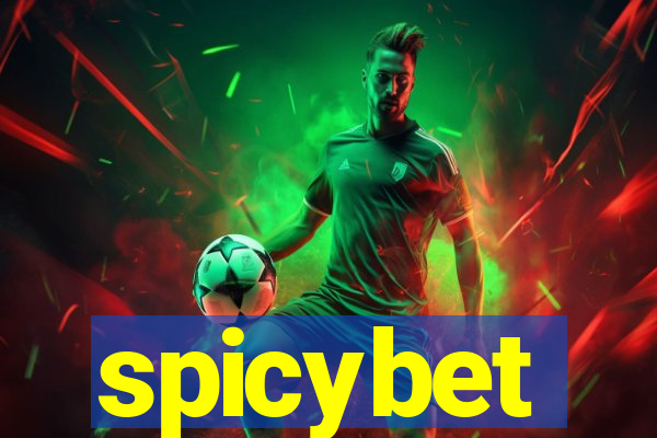spicybet-4.com