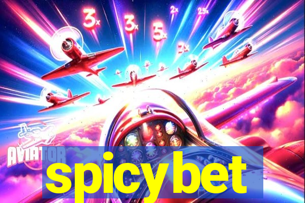 spicybet-4.com