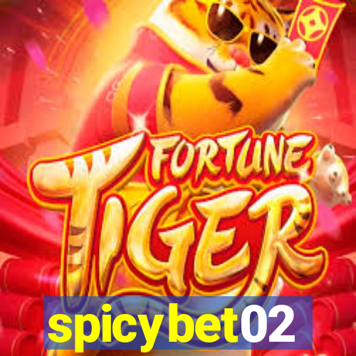 spicybet02