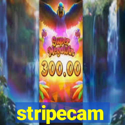 stripecam