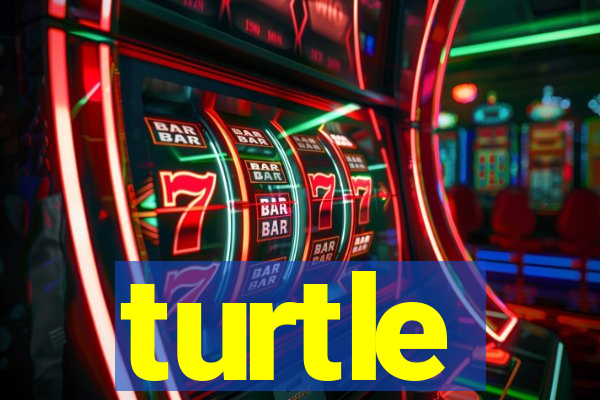 turtle-ty.com
