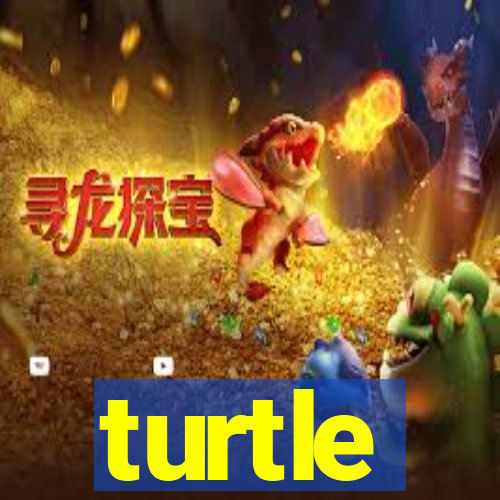 turtle-ty.com