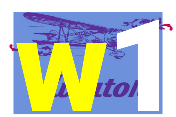 w1-hairpinpg