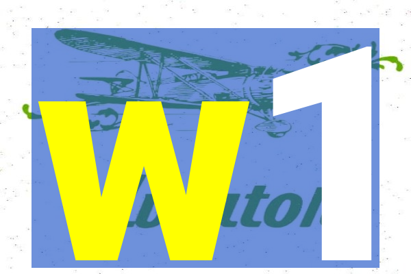 w1-tomw1pg.com