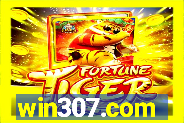 win307.com