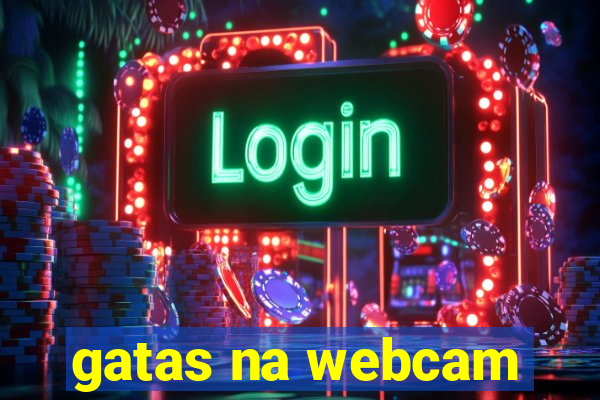 gatas na webcam