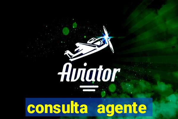 consulta agente autuador sp
