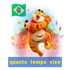 quanto tempo vive um sapo
