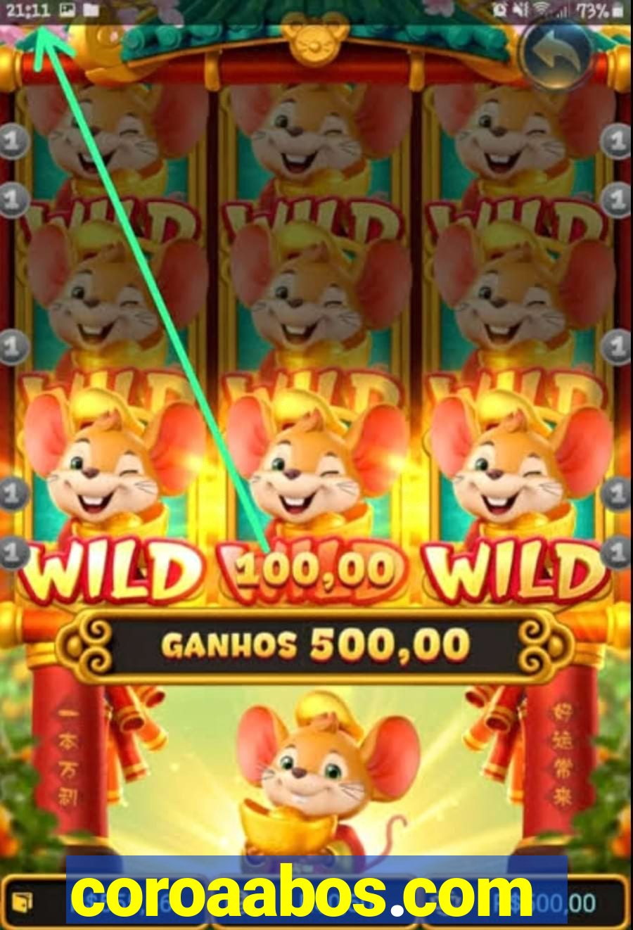 coroaabos.com