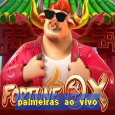 palmeiras ao vivo futebol play
